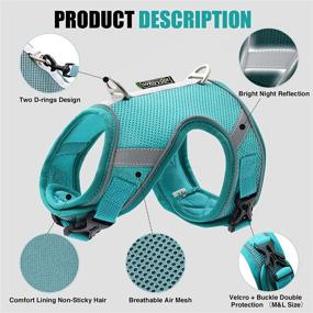 img 2 attached to Rennaio Small Dog and Cat Harness - Breathable, Escape-Proof Puppy Harness with 2 Leash Clips, 360° Reflective Design - Soft Handle Leash Set Included (Mint Green, Size S)