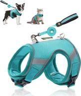 rennaio small dog and cat harness - breathable, escape-proof puppy harness with 2 leash clips, 360° reflective design - soft handle leash set included (mint green, size s) logo