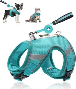 img 4 attached to Rennaio Small Dog and Cat Harness - Breathable, Escape-Proof Puppy Harness with 2 Leash Clips, 360° Reflective Design - Soft Handle Leash Set Included (Mint Green, Size S)