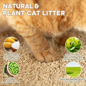 img 3 attached to Tofu Cat Litter Natural Cat Litter Flushable Cat Litter Clumping Plant Cat Litter Ultra Odor Control Cat Litter Dust Free Low Tracking Cat Litter Biodegradable Pellets Multi-Cat