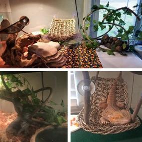 img 1 attached to 🦎 Versatile Bearded Dragon Hammock: Reptile Lounger & Jungle Climber with Suction Cups, Flexible Leaves, and Climbing Branches - Perfect Reptile Habitat Accessories for Chameleon, Lizard, Gecko, Frog, Iguana, Snake