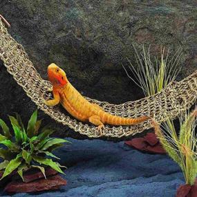 img 2 attached to 🦎 Versatile Bearded Dragon Hammock: Reptile Lounger & Jungle Climber with Suction Cups, Flexible Leaves, and Climbing Branches - Perfect Reptile Habitat Accessories for Chameleon, Lizard, Gecko, Frog, Iguana, Snake