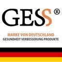 gess market logo