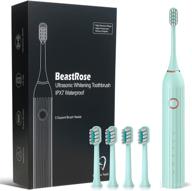 🦷 ultrasonic electric toothbrush - beastrose toothbrush logo