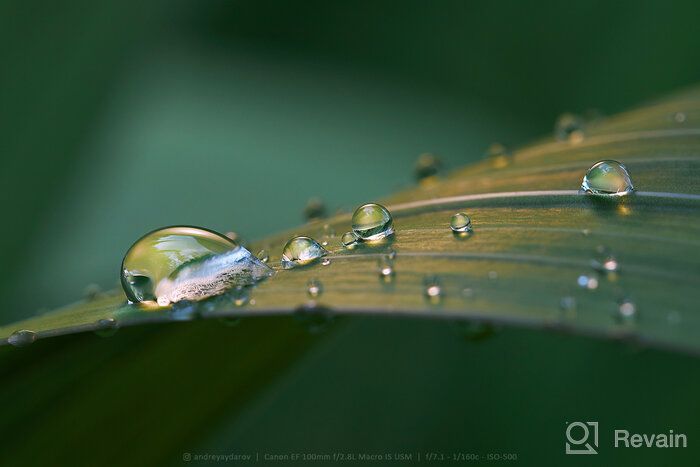 img 2 attached to Canon EF 100mm f/2.8L IS USM Macro Lens for Canon DSLR Cameras - Lens Only review by Md Aadam Ali ᠌