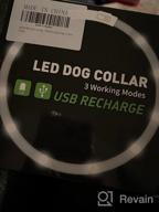 img 1 attached to Purple LED Dog Collar - USB Rechargeable Light Up For Night Safety, Glowing In The Dark | Joytale review by Mike Pearson