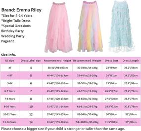 img 2 attached to Emma Riley Embroidered Wedding Birthday Girls' Clothing ~ Dresses