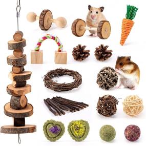 img 4 attached to 16 Pack Hamster Chew Toys Guinea Pig Exercise Accessories - Natural Wooden Play Molar and Exercise Toys for Teeth Care - Small Pets Accessories for Cage