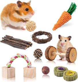 img 3 attached to 16 Pack Hamster Chew Toys Guinea Pig Exercise Accessories - Natural Wooden Play Molar and Exercise Toys for Teeth Care - Small Pets Accessories for Cage