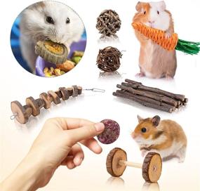 img 2 attached to 16 Pack Hamster Chew Toys Guinea Pig Exercise Accessories - Natural Wooden Play Molar and Exercise Toys for Teeth Care - Small Pets Accessories for Cage