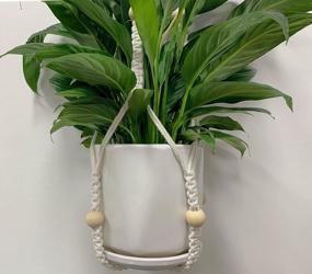 img 2 attached to 2 упаковки 31-дюймовая белая хлопковая вешалка для растений макраме и 2 упаковки 40-дюймовые коричневые джутовые вешалки для растений простого дизайна