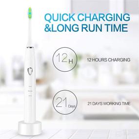 img 1 attached to Rolg Electric Toothbrush Rechargeable Automatic