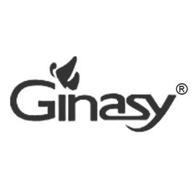 ginasy logo
