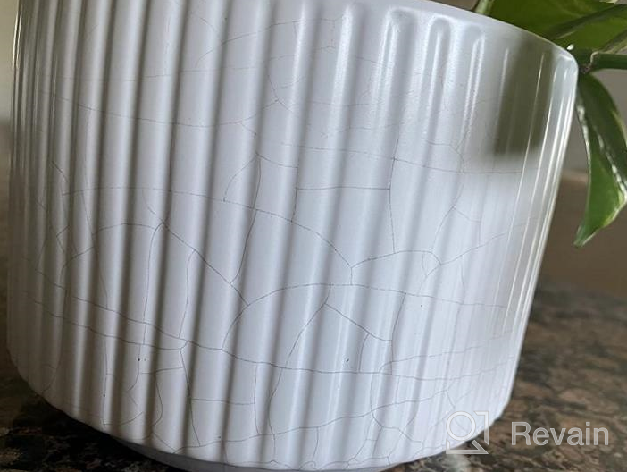 img 1 attached to Ceramic Plant Pots Set Of 3 - Large Planter Sizes 9.3, 8, 6.7 Inches For Indoor/Outdoor Garden Plants With Drainage Holes - Modern White Cylinder Planter For Home Decor From LE TAUCI review by Marcus Dortch