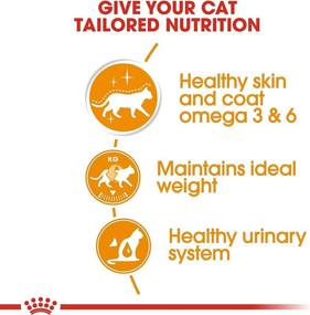 img 2 attached to Royal Canin Feline Multipack Intense Beauty Cat Food: Jelly Variety 12x85g (1.02kg)