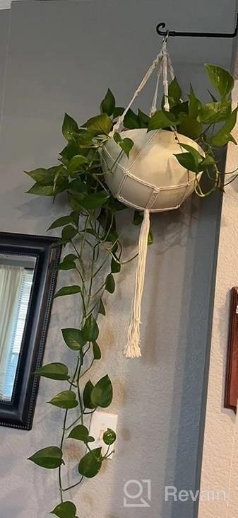 img 1 attached to Add Vibrant Greenery To Your Home With ZOUTOG'S Set Of 4 Handcrafted Macrame Plant Hangers review by Adolfo Goins