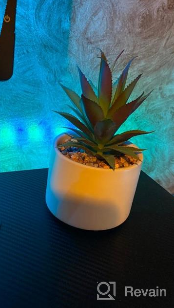 img 1 attached to Artificial Agave Succulent Plant In Ceramic Pot - Perfect Decoration For Home, Office, Or Bath Shelves review by Eric Fuego