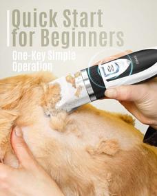 img 1 attached to Say Goodbye To Pet Hair With Oneisall Dog Shaver Clippers - Rechargeable, Low Noise And Cordless