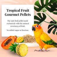 🦜 lafeber tropical fruit gourmet pellets - premium pet bird food, no added sugar, non-gmo & made with human-grade ingredients logo