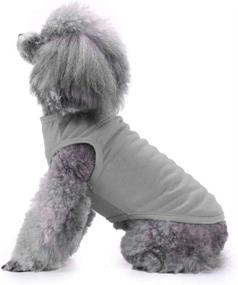 img 1 attached to 🐶 Chol&Vivi Dog Clothes - 2pcs Shirt Set for Small Medium Large Dog Boys and Girls, Soft and Breathable Fabric