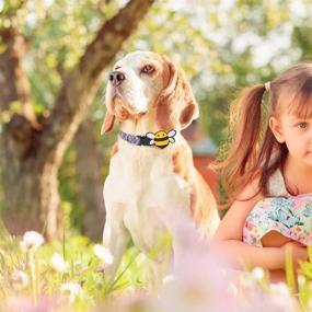 img 2 attached to 🐾 EXPAWLORER Cute Dog Collars - 2 Pack Soft and Adjustable Spring Dog Collars with Removable Flower Decoration, Quick Release Safety Buckle, Comfortable Collars for Small Medium Large Dogs