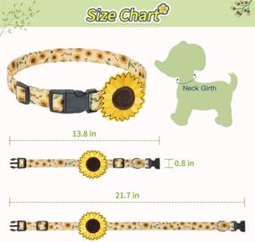 img 1 attached to 🐾 EXPAWLORER Cute Dog Collars - 2 Pack Soft and Adjustable Spring Dog Collars with Removable Flower Decoration, Quick Release Safety Buckle, Comfortable Collars for Small Medium Large Dogs