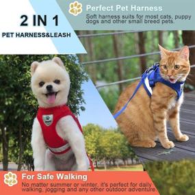 img 1 attached to 🐱 Supet Cat Harness and Leash Set: Comfortable and Adjustable Mesh Vest for Walking Cats & Small Dogs with Reflective Strap - Ideal for Pet Kittens, Puppies, & Rabbits