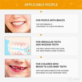 img 3 attached to Enhancing Oral Hygiene: Toothbrush End Tuft Tapered Interdental Interspace Explained