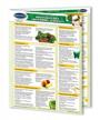 vegan quick reference guide for wheatgrass juice & greendrinks: raw living food edition logo