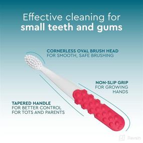 img 1 attached to Upgrade Your Kids' Oral Care with RADIUS Toothbrush Totz Plus Mint: Gentle & Effective Brushing