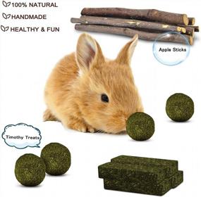 img 3 attached to Get Your Small Pets Chewing And Playing With KATUMO'S 12PCS Rabbit Chew Toys