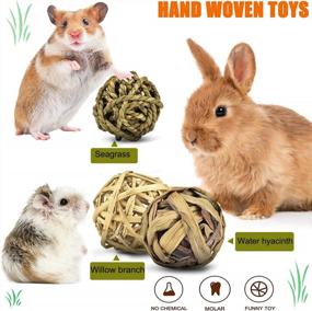 img 2 attached to Get Your Small Pets Chewing And Playing With KATUMO'S 12PCS Rabbit Chew Toys