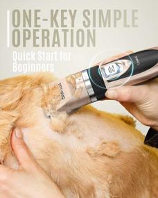 img 1 attached to Quiet And Easy Grooming With Oneisall Rechargeable Dog Shaver Clippers