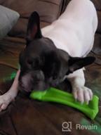 img 1 attached to Indestructible Dog Chew Toys For Large Breeds - Oneisall Bone Chew Toy For Aggressive Chewers review by Jeff Kickthedogband