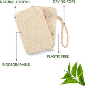 img 2 attached to 🌿 Eplanita Natural Dishwashing Sponges (Pack of 6), Eco-Friendly Kitchen Scrub Scourer, Organic Loofah Plant, Biodegradable and Zero Waste