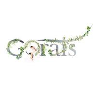 gorais logo