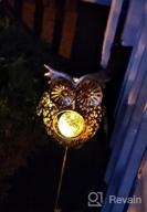 img 1 attached to Illuminate Your Garden In Style With Bronze Solar Fish Stake Lights review by Richard Gross
