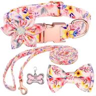 🐾 stylish dog collar and leash sets: adjustable strong gold buckle with bowtie/flower decor, name tag, phone tag - for small, medium, large dogs logo