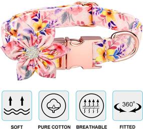 img 1 attached to 🐾 Stylish Dog Collar and Leash Sets: Adjustable Strong Gold Buckle with Bowtie/Flower Decor, Name Tag, Phone Tag - for Small, Medium, Large Dogs