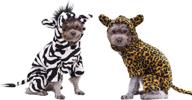 🐾 yaodhaod halloween costumes for dogs: zebra and leopard dog hoodie pack - warm flannel coat outfits for small medium dogs and cats логотип