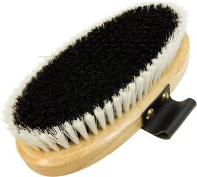 img 1 attached to 🐼 Intrepid International Panda Horse Brush: Experience Gentle Grooming for Your Equine Companion