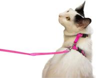 🐱 juvale adjustable small cat leash and harness set - pink, 4.5 inch collar with 48 inch leash logo