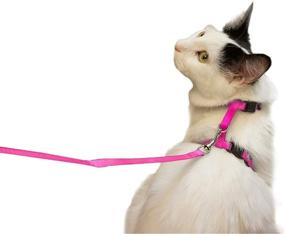 img 4 attached to 🐱 Juvale Adjustable Small Cat Leash and Harness Set - Pink, 4.5 Inch Collar with 48 Inch Leash