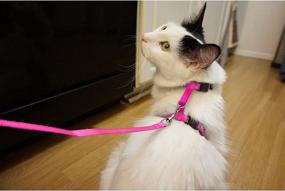 img 3 attached to 🐱 Juvale Adjustable Small Cat Leash and Harness Set - Pink, 4.5 Inch Collar with 48 Inch Leash