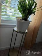 img 1 attached to Black Amazon Basics Plant Stand - Elevate Your Greenery! review by Chris Webb