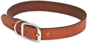 img 1 attached to 10830 Leather Collar 20 Inch Brown