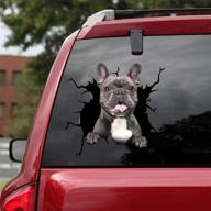 🌊 ocean gift french bulldog car decals, 2-pack of realistic frenchie stickers for car windows and walls - series 68, size 12" x 12 логотип