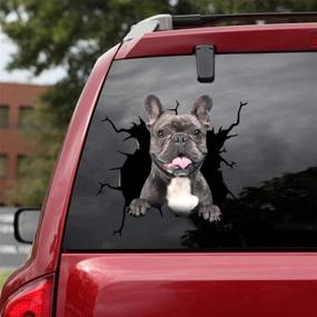 img 4 attached to 🌊 Ocean Gift French Bulldog Car Decals, 2-Pack of Realistic Frenchie Stickers for Car Windows and Walls - Series 68, Size 12" x 12