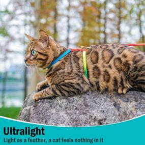 img 1 attached to Colorful PUPTECK Adjustable Cat Harness With Leash: Secure Nylon Strap Collar For Your Feline Friend