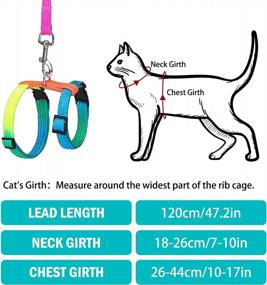 img 3 attached to Colorful PUPTECK Adjustable Cat Harness With Leash: Secure Nylon Strap Collar For Your Feline Friend